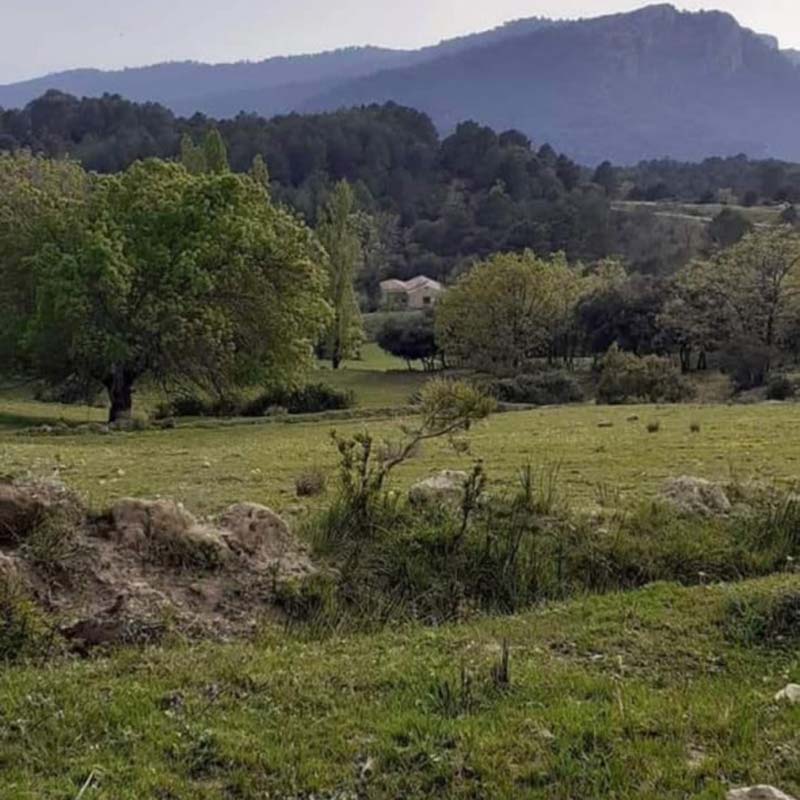 Senda de la Berrea - Vivienda turística en el Parque Natural Sierras de Cazorla, Segura y Las Villas Senda de la Berrea - Vivienda turística en el Parque Natural Sierras de Cazorla, Segura y Las Villas
